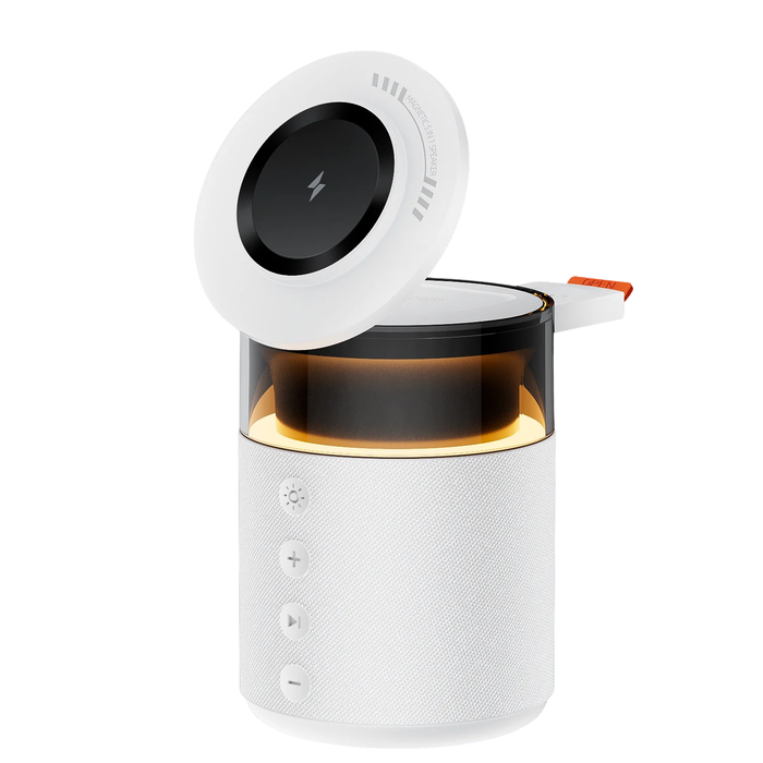 5-in-1 Wireless Charging Station for Ultimate Convenience and Efficiency - RFE Marketing Ventures