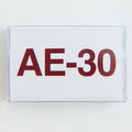 AE-30【TAPE】-  Sam Gendel