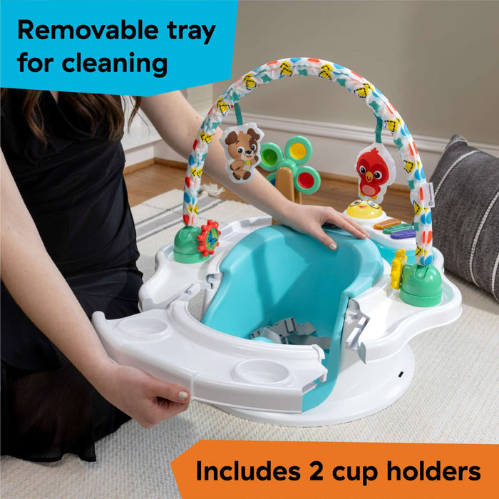 Baby Einstein SuperSeat Touch of Tunes 4-in-1 Seat