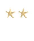 Coastal Chic Textured Starfish Gold Stud Earrings