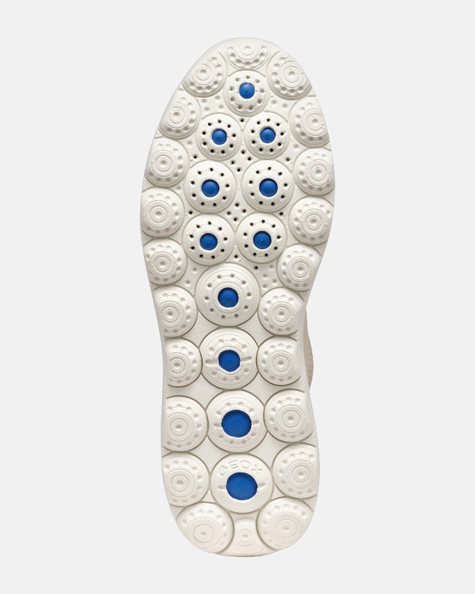 mw:img:6ee513a5254cc3cfa751f6b57b965a80
