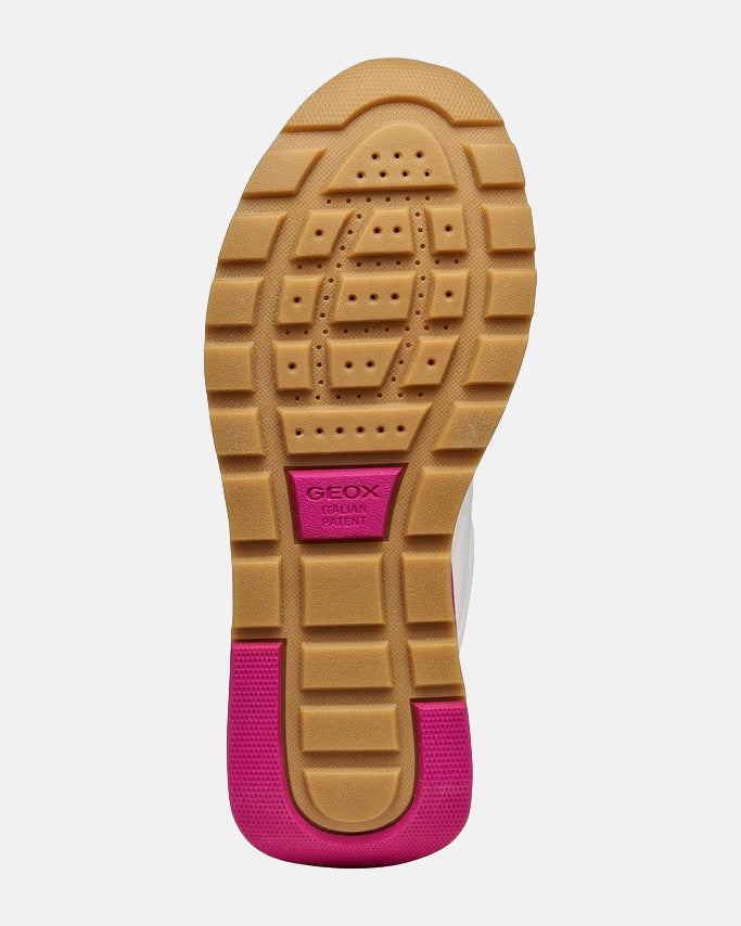 mw:img:676c90dec3b5ca1807dfa1ecdcb09c5d
