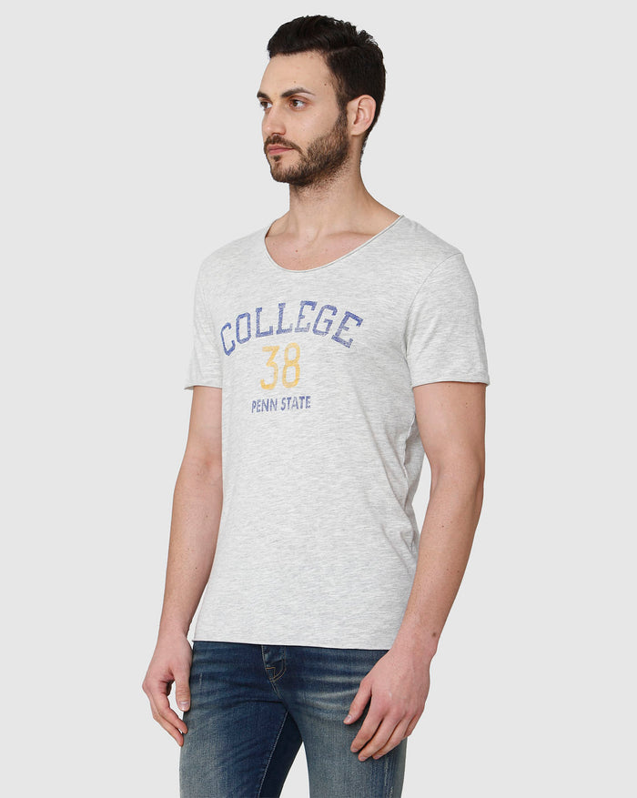 Grey Printed Crew Neck T-Shirt