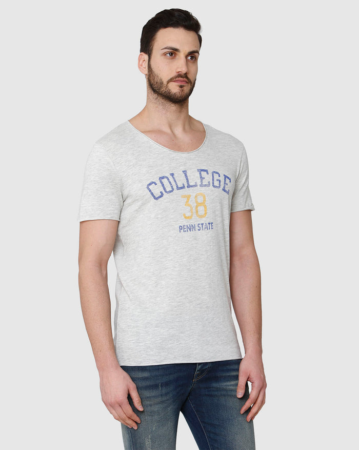 Grey Printed Crew Neck T-Shirt