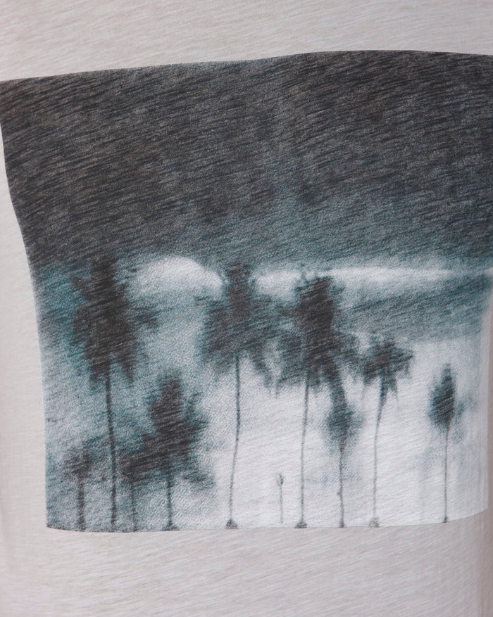 Grey Printed Crew Neck T-Shirt