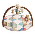Itzy Ritzy Music & Motion Activity Gym