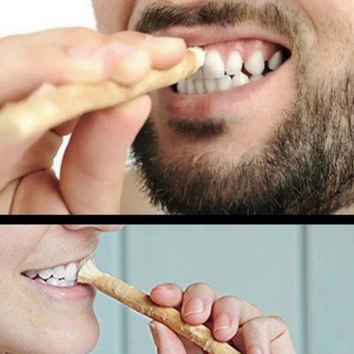 Natural Miswak Tooth Cleaning Stick: Your Eco-Friendly Oral Care Solution - RFE Marketing Ventures