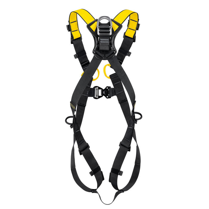 Newton International Harness