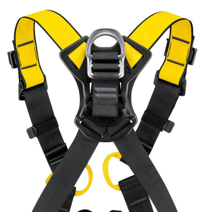 Newton International Harness