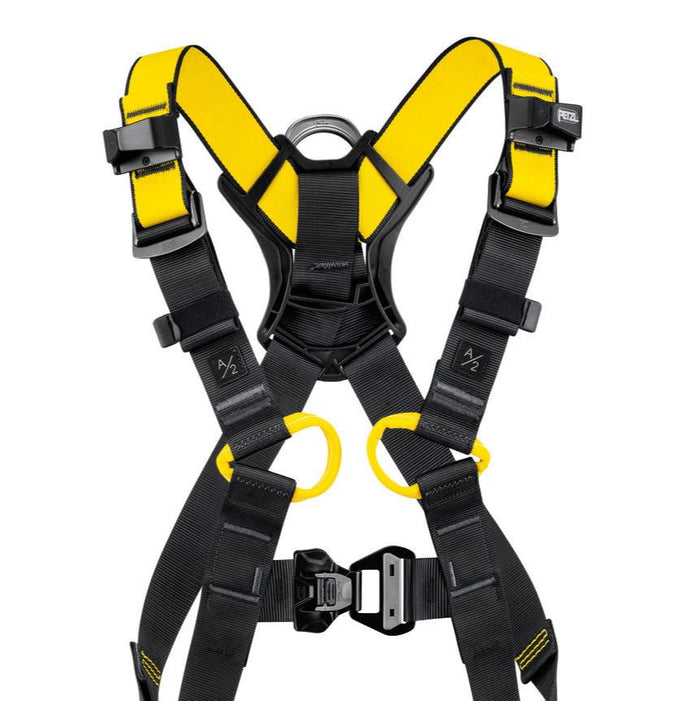 Newton International Harness