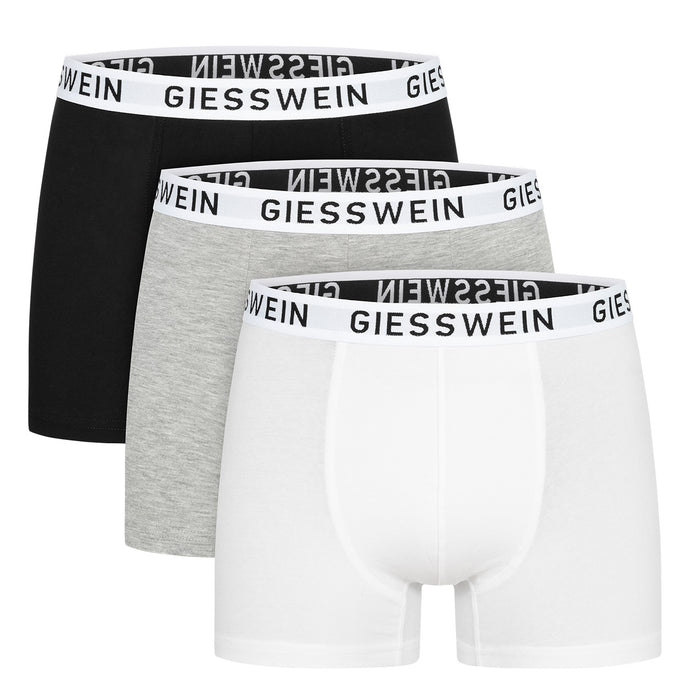 Giesswein Organic Boxershorts - autre 999