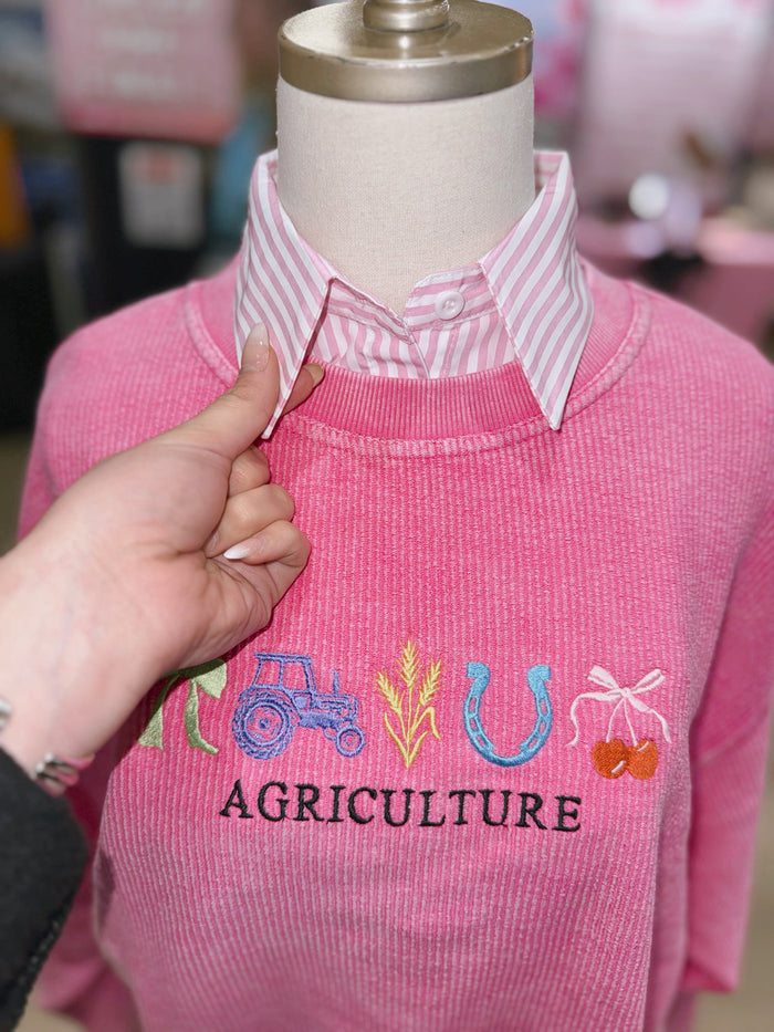 Pink Stripe Collar
